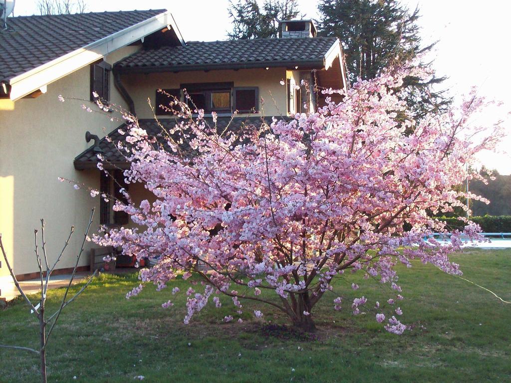 Bed & Breakfast Il Ciliegio *